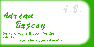 adrian bajcsy business card